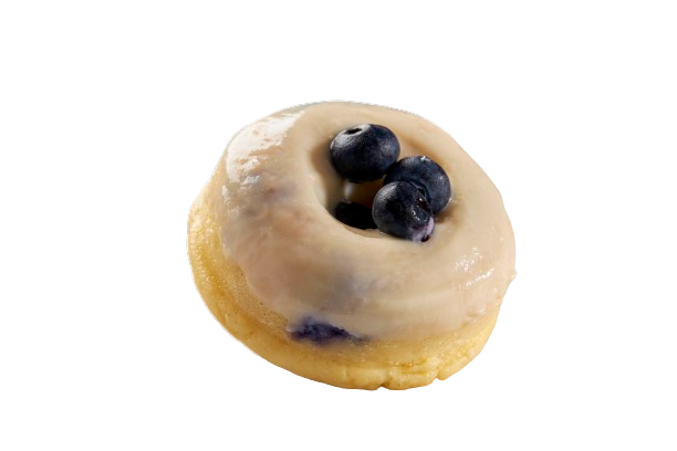 Blueberry Protein Donut